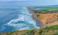 Perfect for 1st timers! - 8