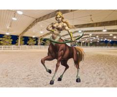 Equitation Lessons - 7