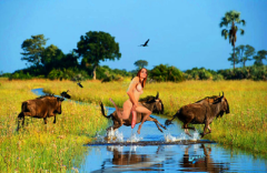 Serbian Wildebeest