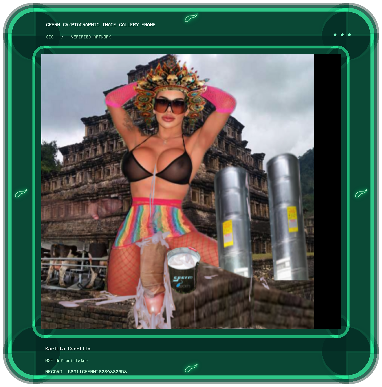 Karlita Carrillo — M2F defibrillator framed cryptographic artwork