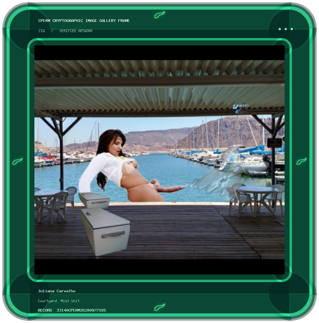 Juliana Carvalho — Courtyard  Mist Unit framed cryptographic artwork