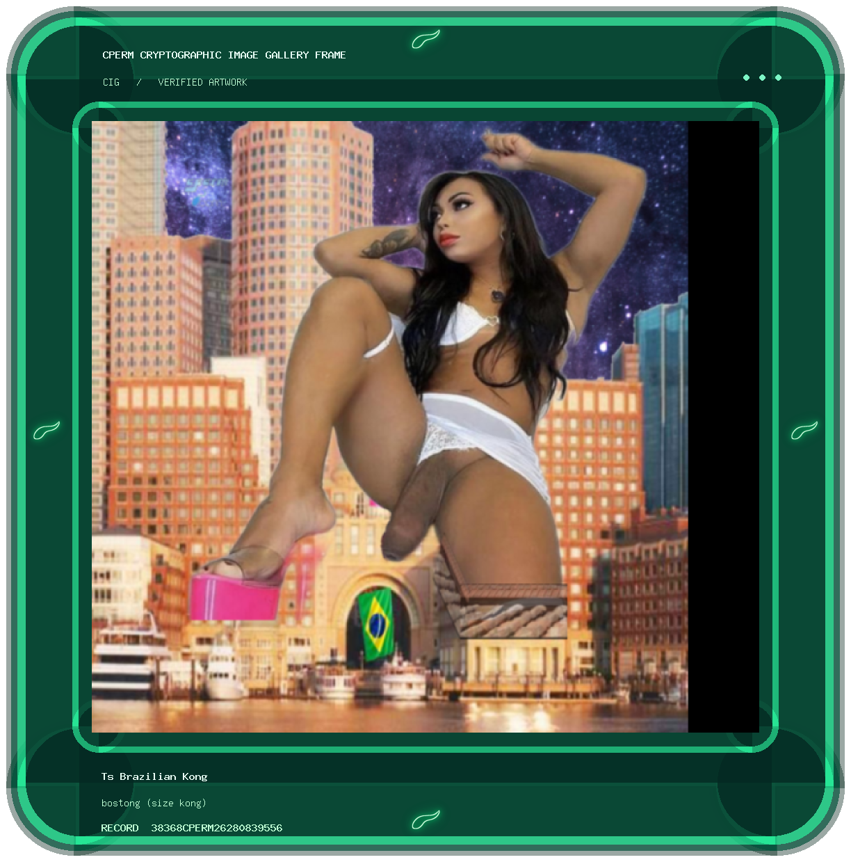 Ts Brazilian Kong — bostong (size kong) framed cryptographic artwork