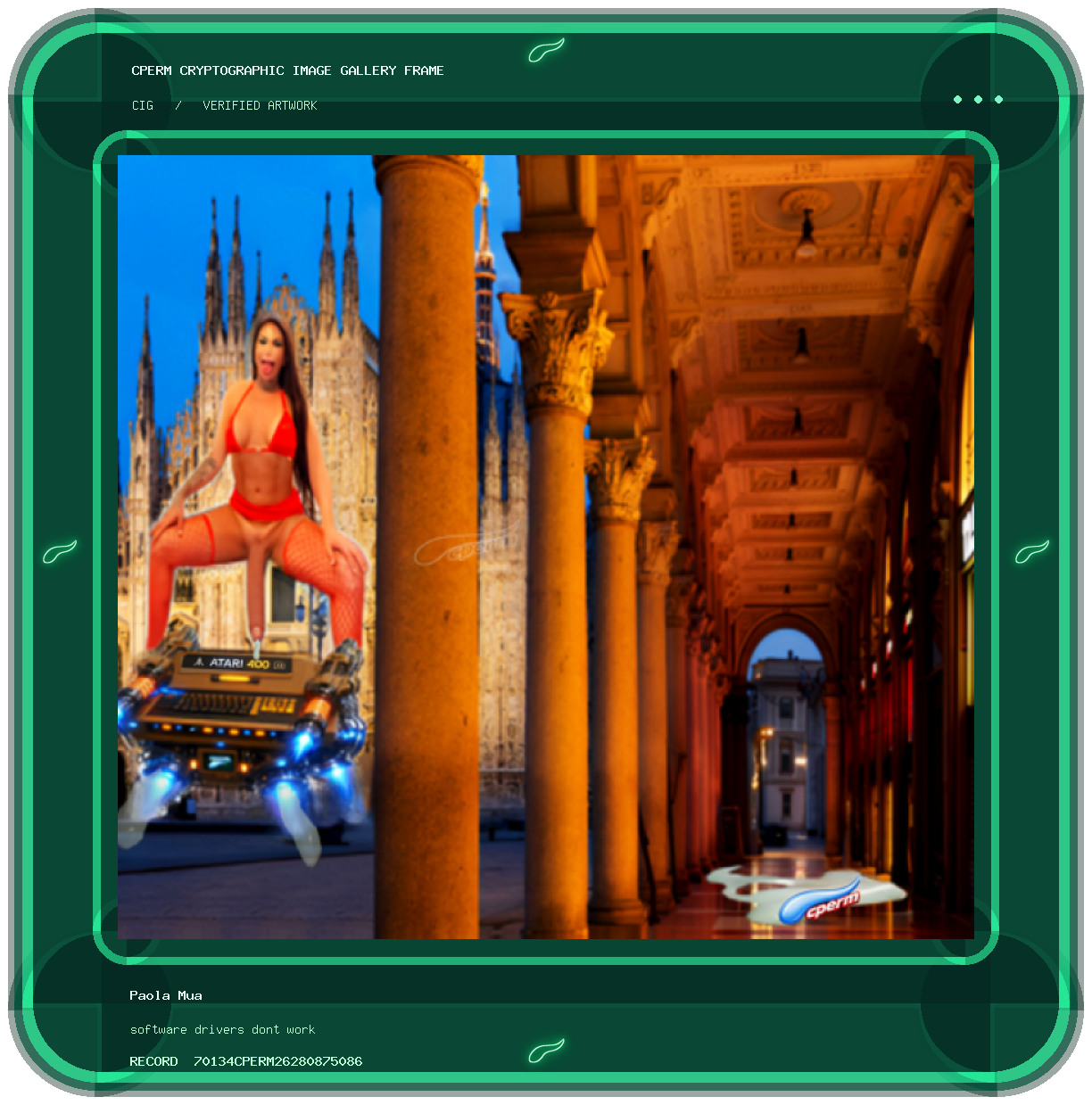 Paola Mua — software drivers dont work framed cryptographic artwork