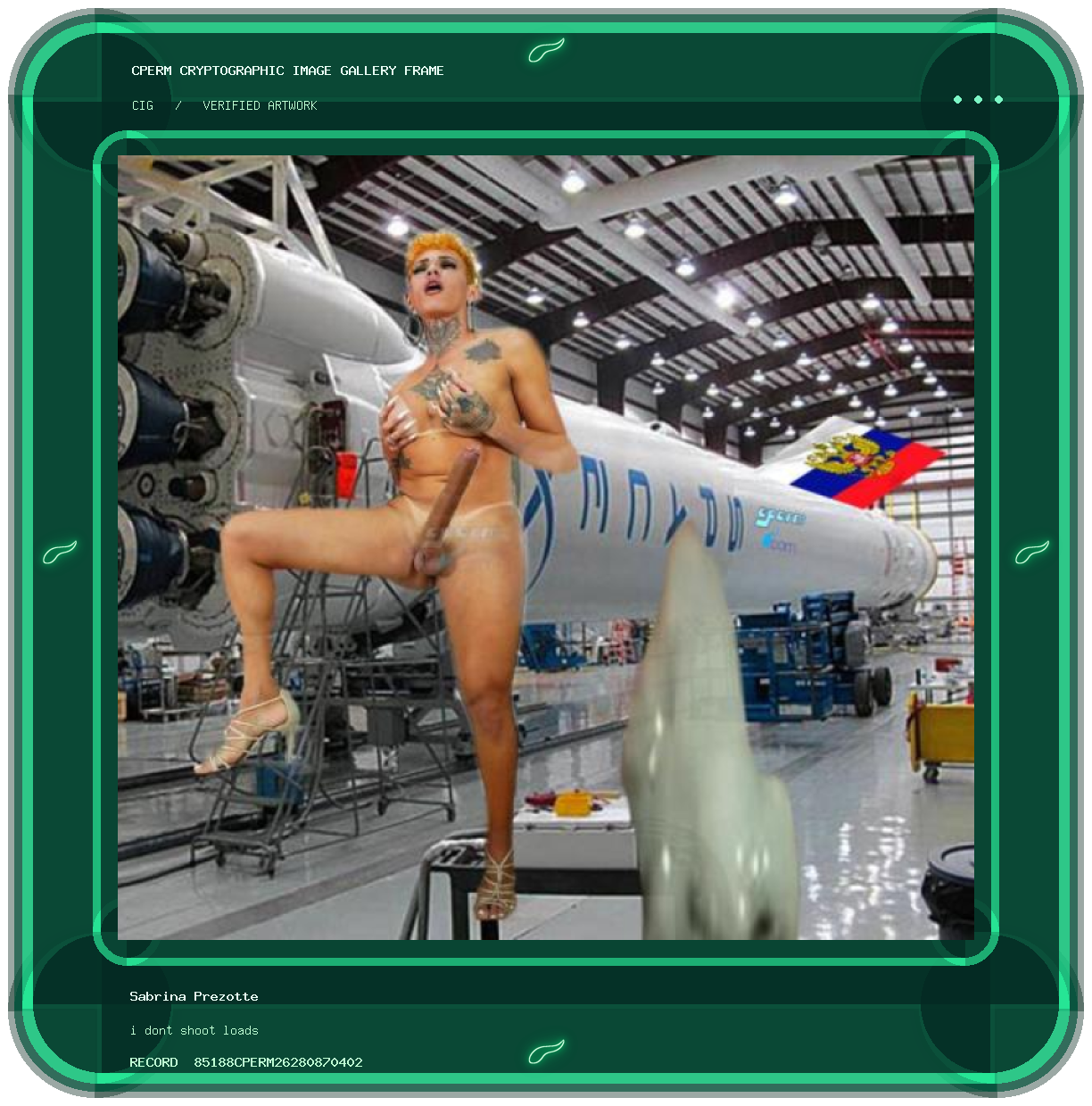 Sabrina Prezotte — i dont shoot loads framed cryptographic artwork
