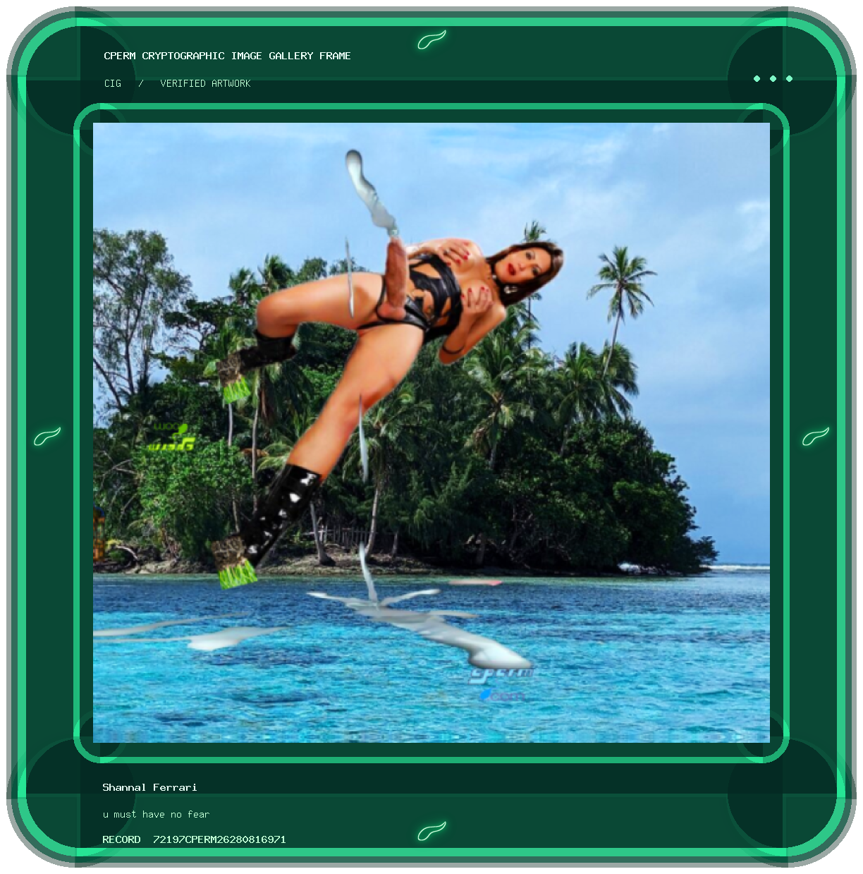 Shannal Ferrari — u must have no fear framed cryptographic artwork