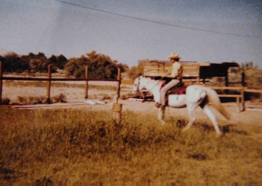 3454 Tobias Lane exterior in 1981 — historic photo