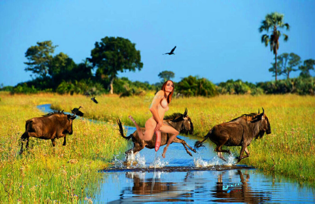 Serbian Wildebeest