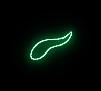Record Profile image