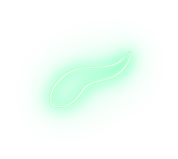 Cperm enigma