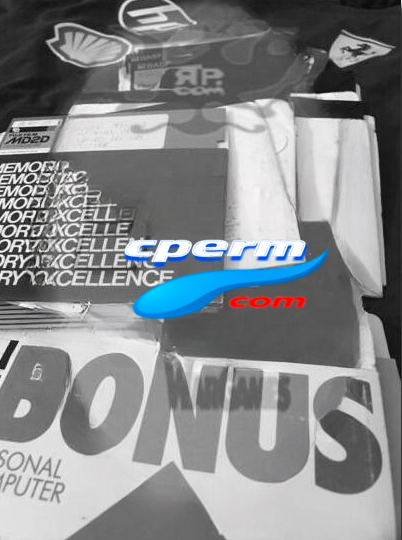 1981 WPA Atari 400 dial-out BBS artifact: 5¼-inch floppy disks and preserved materials